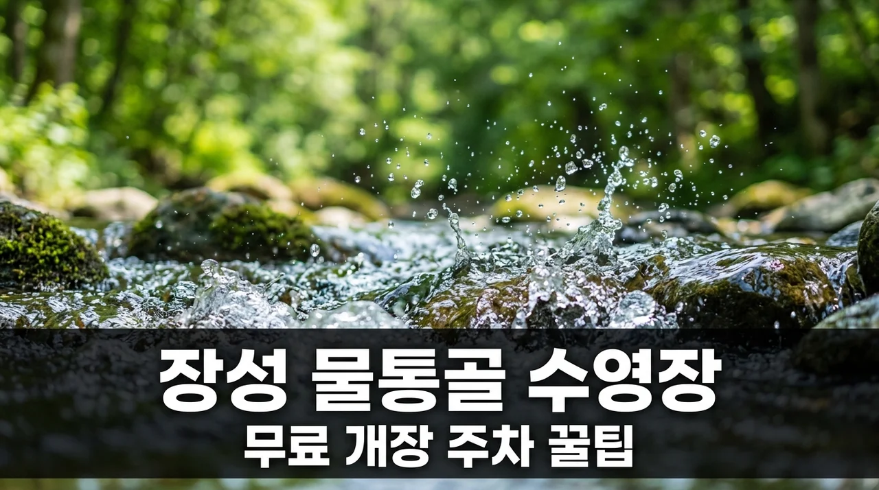 장성 물통골 수영장 무료 개장 주차·그늘막 준비물 완벽 정리