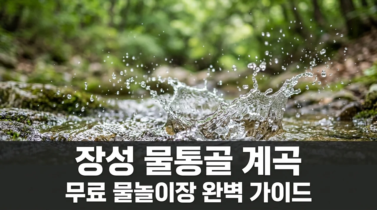 장성 물통골 계곡 무료 물놀이장 위치 주차 평상 이용 꿀팁 정리