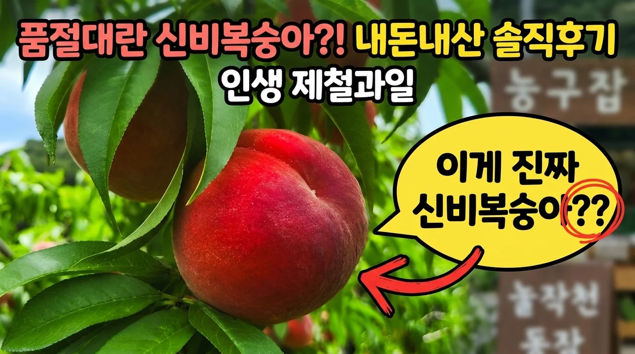 신비복숭아 대극천 품절대란? 인생 제철과일 내돈내산 솔직후기