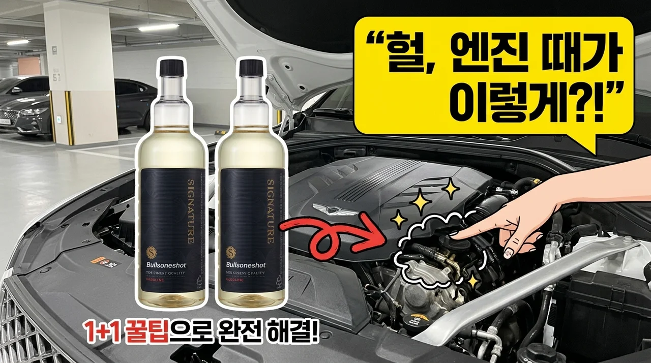 불스원샷 시그니처 500ml 1+1 가솔린 엔진 때 빼는 꿀팁