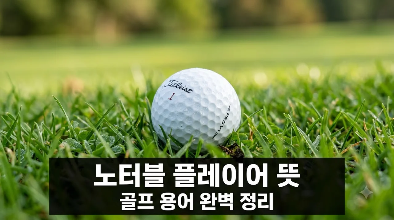 노터블 플레이어 뜻 골프 중계 리더보드 용어 핵심 요약