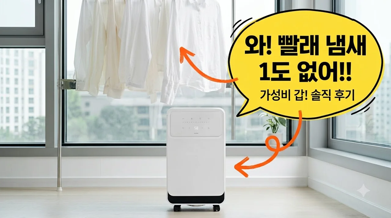 듀플렉스 D11 제습기 빨래 냄새 싹 지워준 가성비 솔직후기