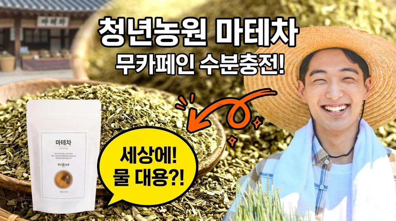 청년농원 마테차 티백 무카페인 수분섭취 꿀팁