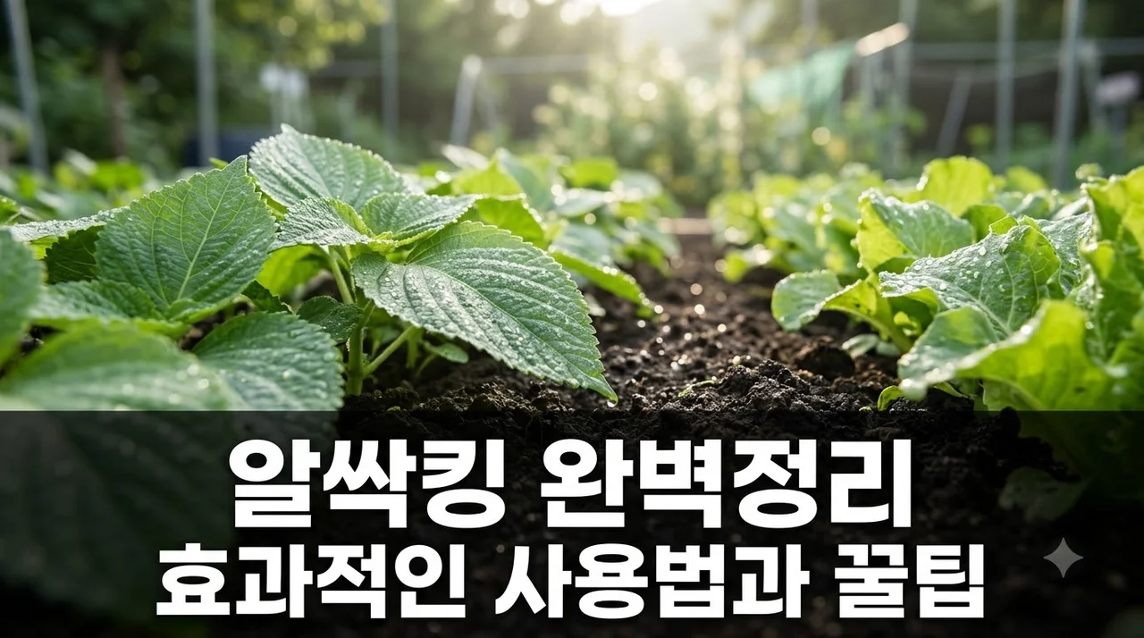 알싹킹 총정리 사용법부터 가격 비교 및 실패 없는 꿀팁