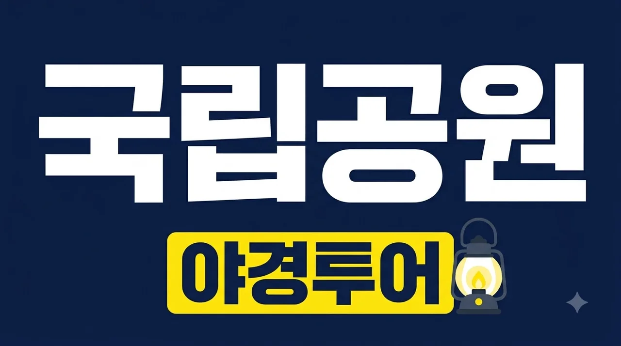 국립공원 야경 관광 드디어 열렸다.. 한 달 딱 20명만 가는 뜻밖의 코스