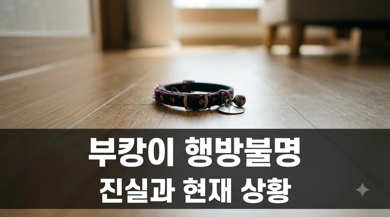 부캉이 행방 불명 진실과 현재 상황 총정리